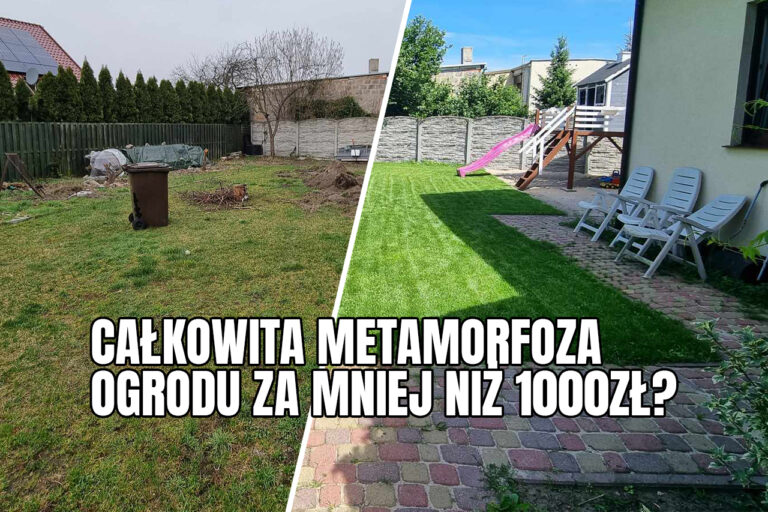 Całkowita metamorfoza ogrodu za mniej niz 1000?